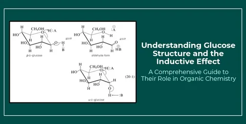 Understanding glucose basics