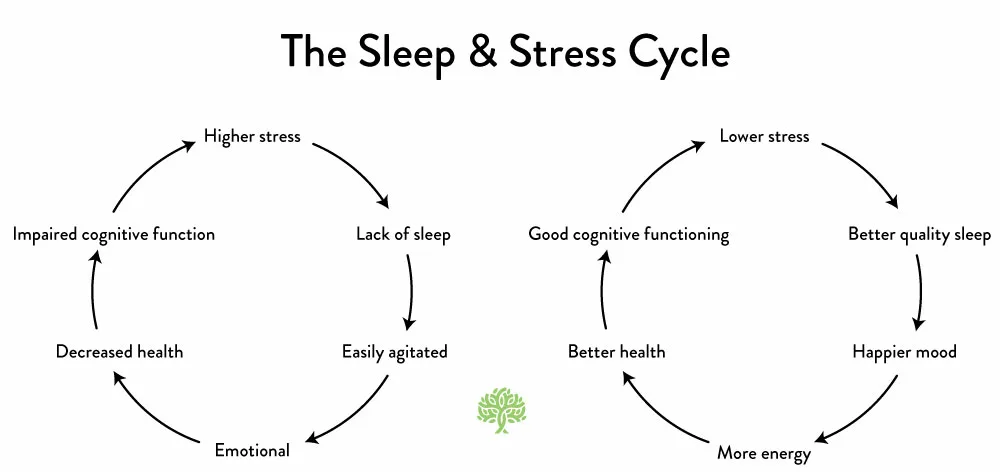 Sleep and stress connection